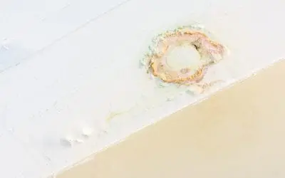 5 Common Areas for Water Damage in the Home