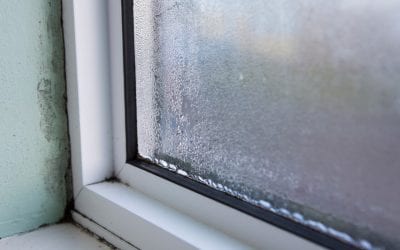 Prevent Mold in the Home