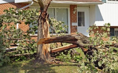 5 Tips to Protect a Home from Wind Damage