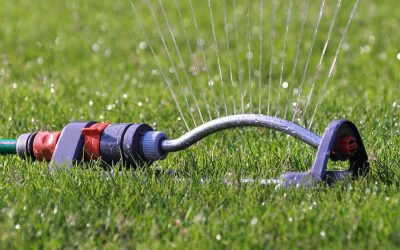 8 Tips for Summer Lawn Care and Maintenance